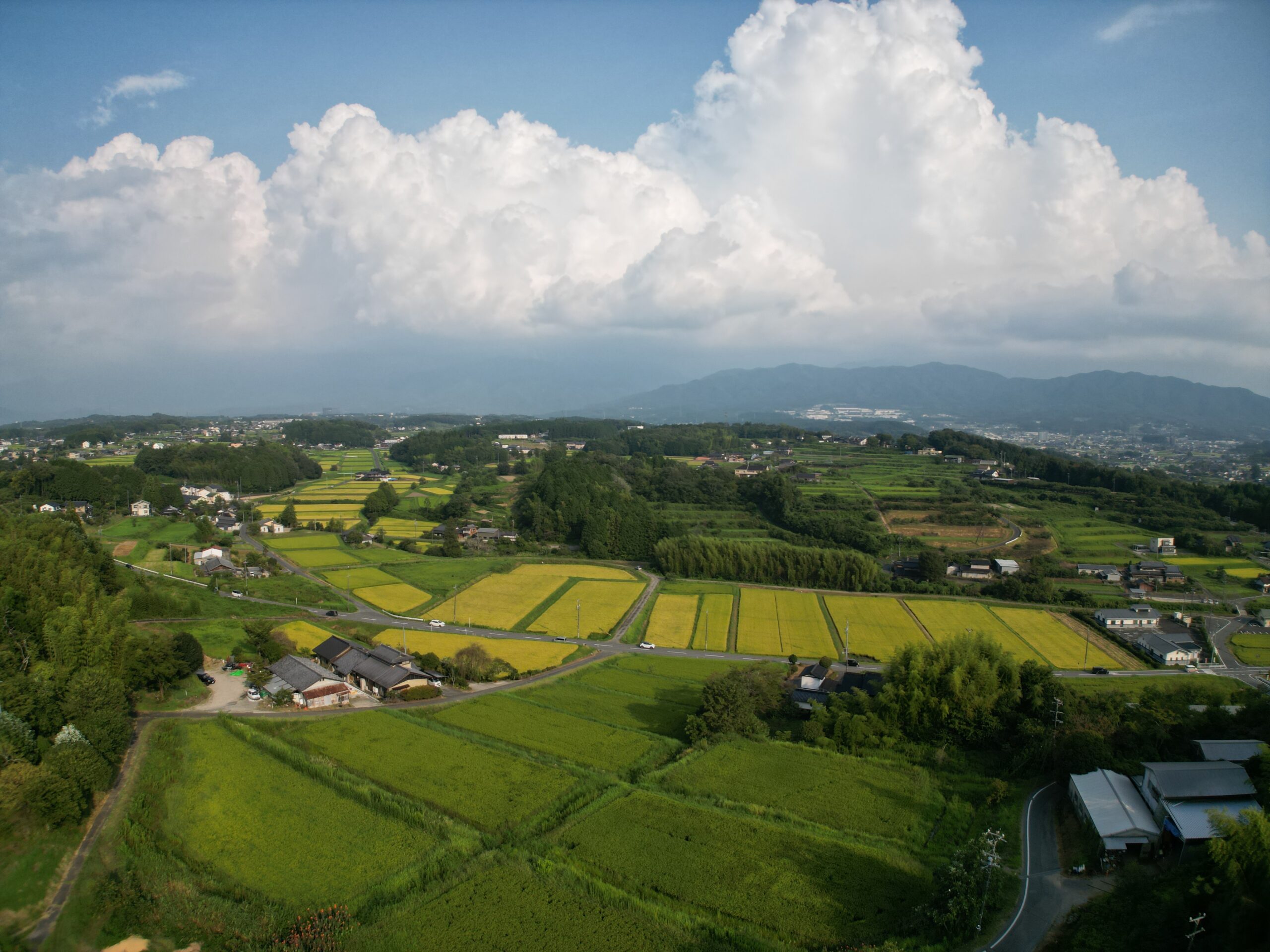辻原地区 風景